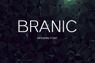 Branic: A Modern Sans Serif Typeface for Clean Brand Identity