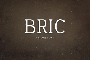 Bric Typeface: A Modern Serif for Digital Branding