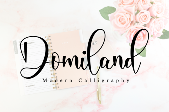 Domiland Script Font for Elegant Brand Identity