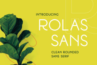 Rolas Sans: The Rounded Typeface for Modern Branding