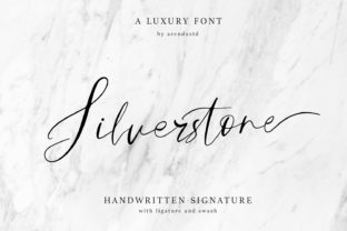 Silverstone: A Fun Handwritten Font for Creative Brands